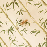 Floor Cushion - Money Tree - Bamboo