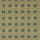 Rattan in Pistachio - Fabric