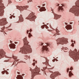 Big Pansy in Blossom - Wallpaper