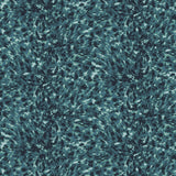 Lonesome George in Lagoon - Wallpaper