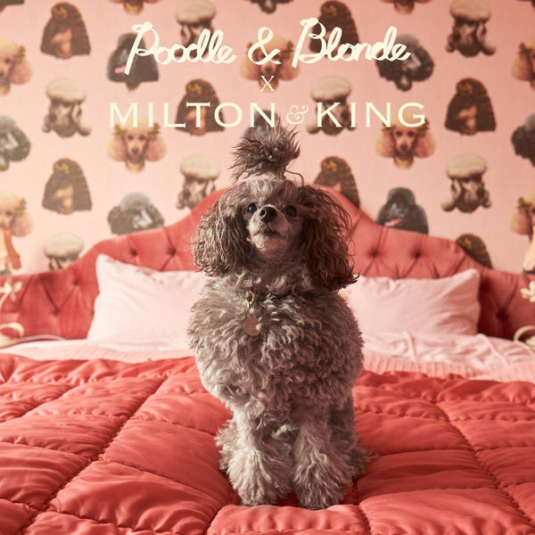 Important Update for Our International Customers 🌍