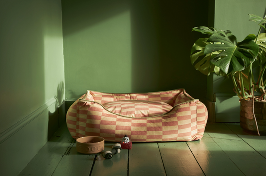 Sustainable Pet Perfection: A Must-Have for Pet-Friendly Homes
