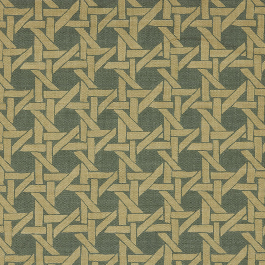 Rattan in Pistachio - Fabric