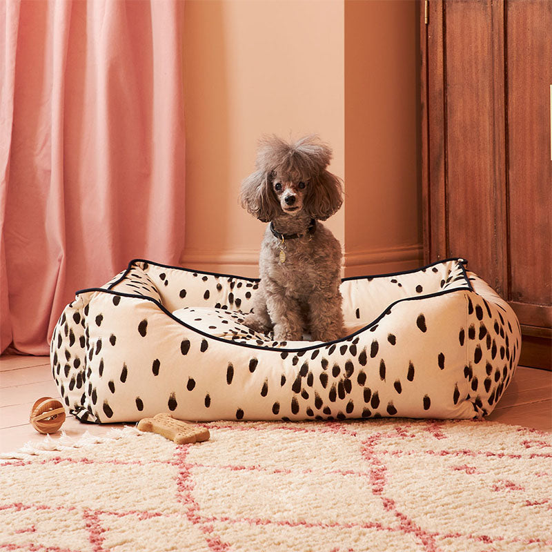 Tottenham Dalmatian Velvet Dog Bed - Cocoa
