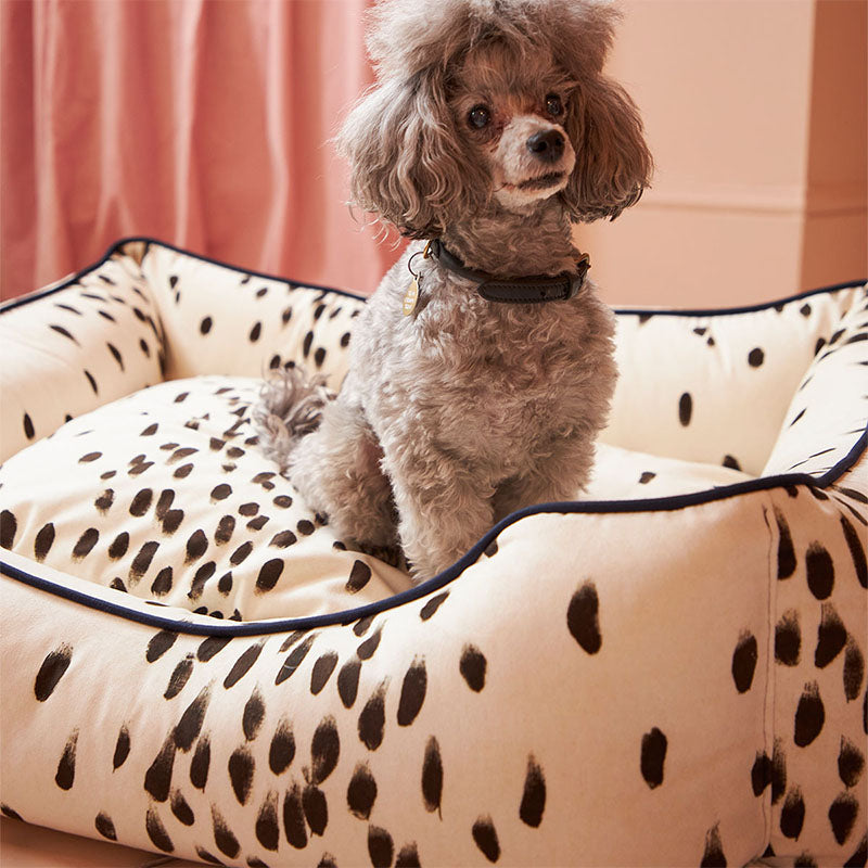 Tottenham Dalmatian Velvet Dog Bed - Cocoa