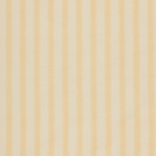 Nanny's Stripe in Daisy - Tela